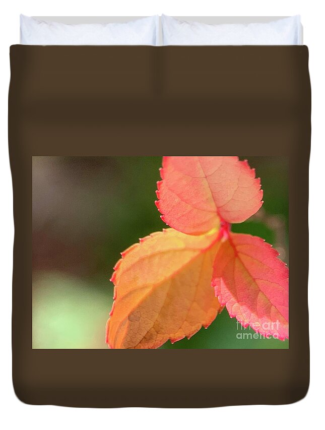 Leaves Duvet Cover featuring the photograph Fall So Bright by Catherine Wilson