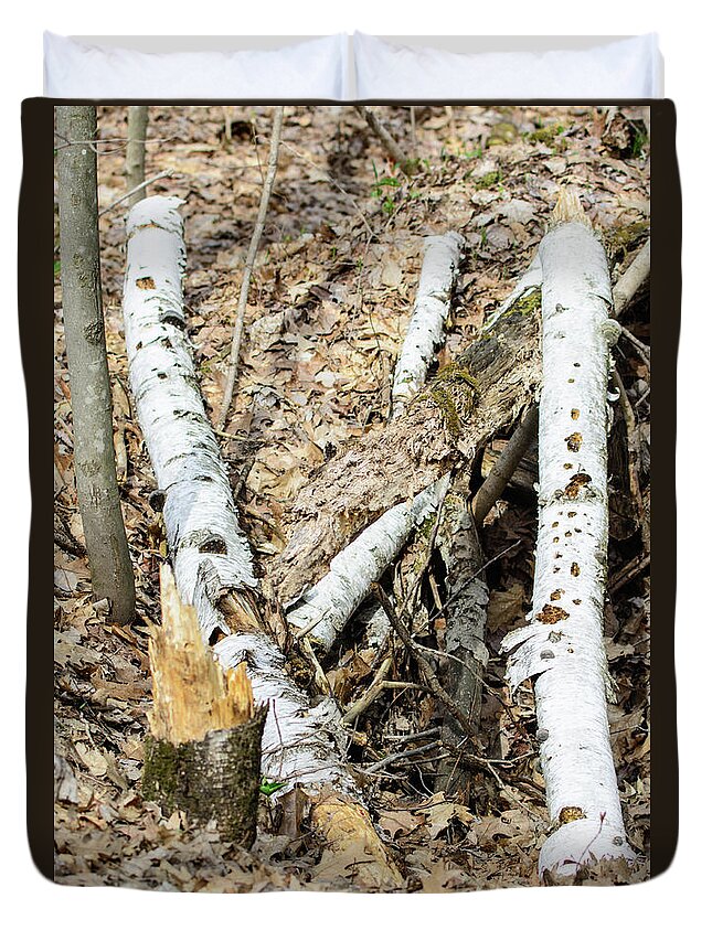 Fallen Birch Duvet Cover featuring the photograph Fallen Birch by James Canning