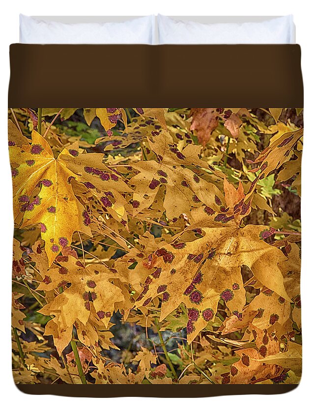 Leaves Duvet Cover featuring the photograph Fallen by Tom Kelly