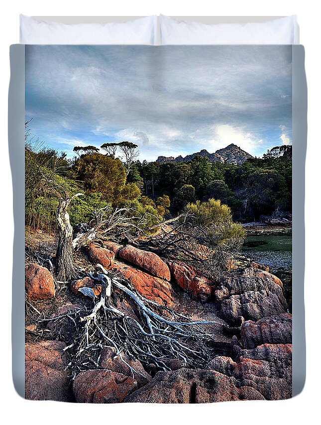 Fallen Duvet Cover featuring the photograph Fallen tree pano by Andrei SKY