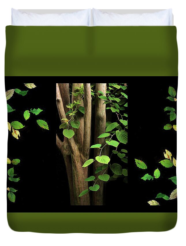 Tree Duvet Cover featuring the photograph Falling for Spring by Jessica Jenney