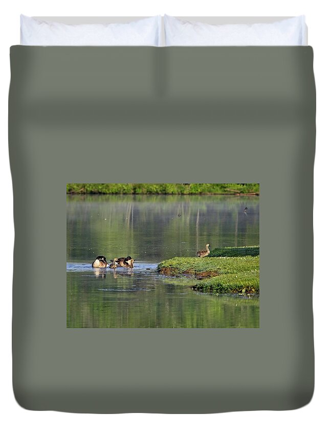 Wildlife Duvet Cover featuring the photograph Family Of Geese by John Benedict