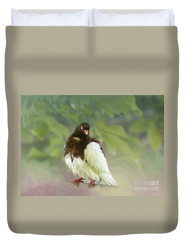 Beautiful Pigeon Duvet Covers