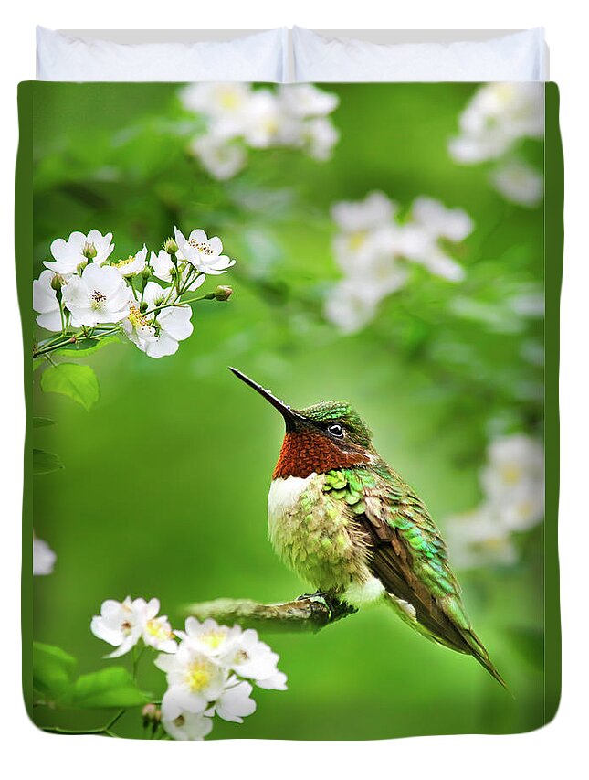 Hummingbird Duvet Cover featuring the photograph Fauna and Flora - Hummingbird with Flowers by Christina Rollo