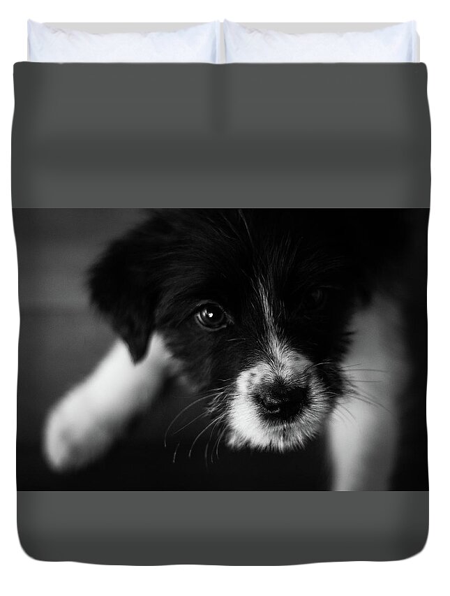 Puppy Duvet Cover featuring the photograph Fear by Josu Ozkaritz