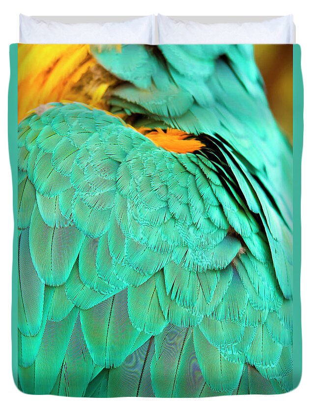 Feather Duvet Cover featuring the photograph Feathers by Anna Kluba