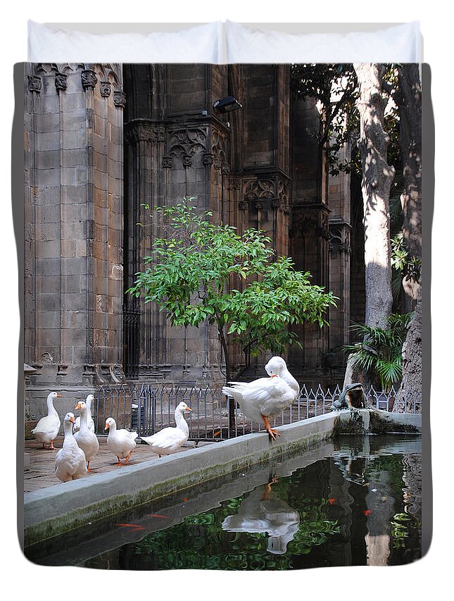 Cathedral Duvet Cover featuring the photograph Fine Feathered Cloister by Vallee Johnson