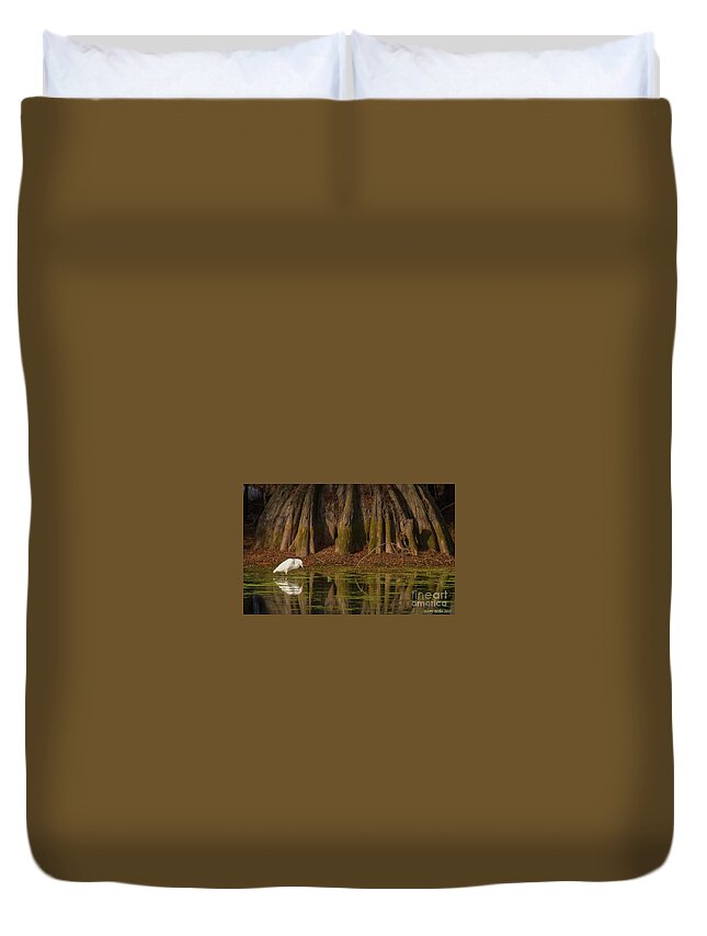 Nature Duvet Cover featuring the photograph Feeding on Lake Martin by Barry Bohn