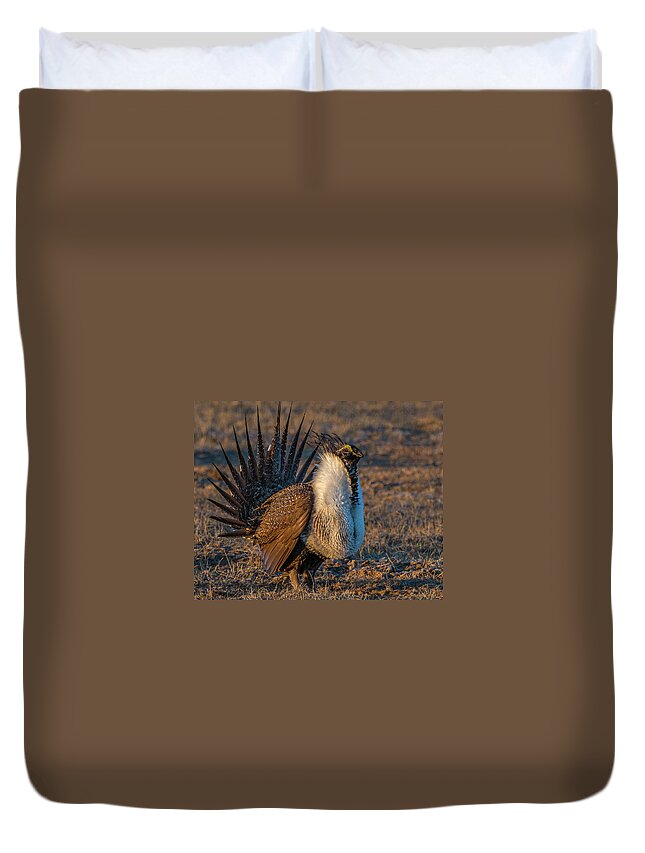 Sage Grouse Duvet Cover featuring the photograph Feels Like Dancing by Yeates Photography