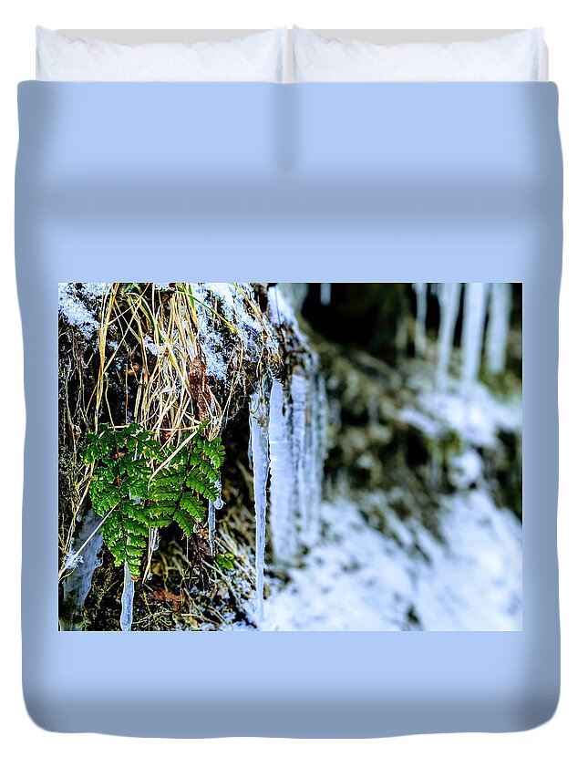  Duvet Cover featuring the photograph Fern and Icicles by Brad Nellis