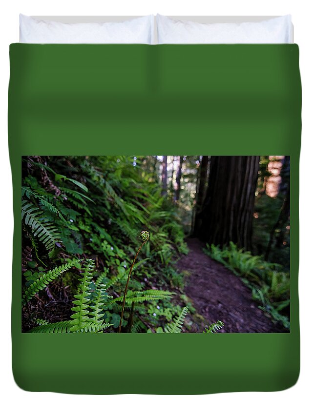 Fern Duvet Cover featuring the photograph Fern Path by Margaret Pitcher