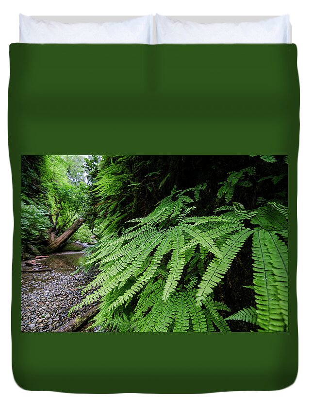 Fern Duvet Cover featuring the photograph Fern Perfection by Margaret Pitcher