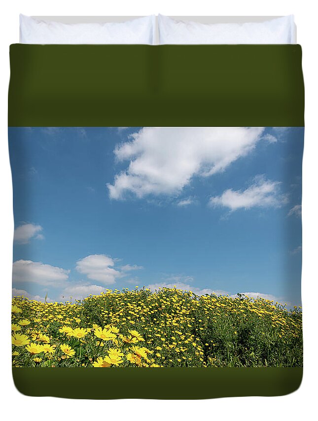 Flower Field Duvet Cover featuring the photograph Field with yellow marguerite daisy blooming flowers against and blue cloudy sky. Spring landscape nature background by Michalakis Ppalis