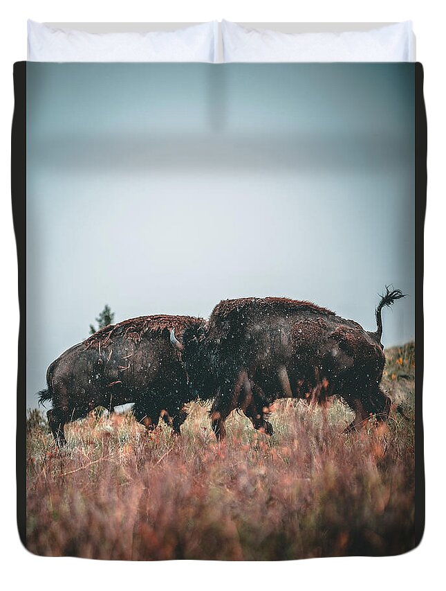  Duvet Cover featuring the photograph Fighting Bison by William Boggs