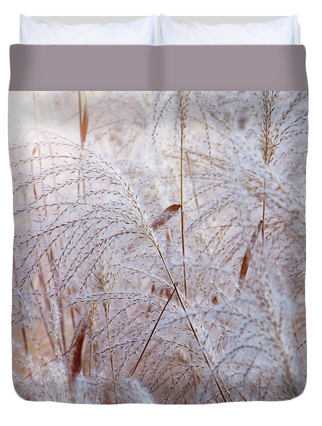 Idyllic Duvet Cover featuring the photograph Fine grass with flares. by Bernhard Schaffer