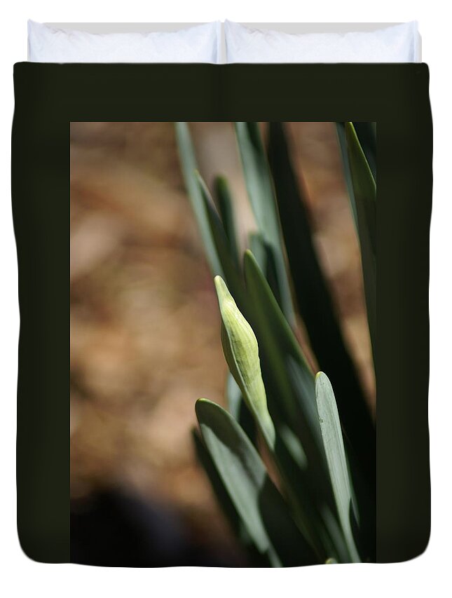  Duvet Cover featuring the photograph First Bud by Heather E Harman