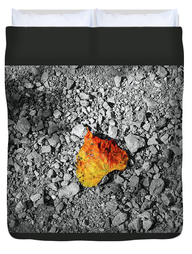 Leaf Duvet Cover featuring the photograph First Leaf of Autumn by Christopher Reed