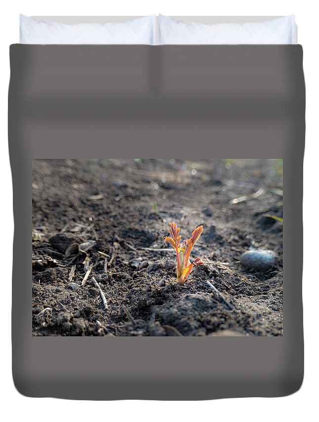 Spring Duvet Cover featuring the photograph First Sprouts In Spring by Karen Rispin