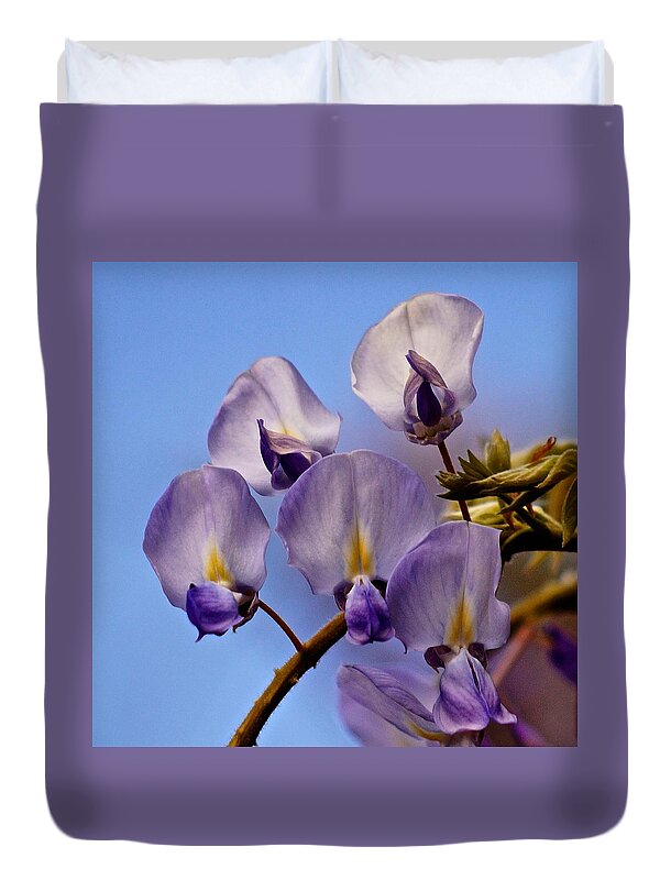 Flowers Duvet Cover featuring the photograph First Wisteria Flowers 2022 by Richard Cummings