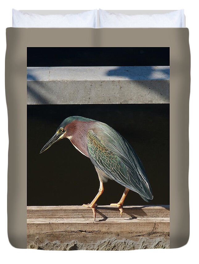 Florida Duvet Cover featuring the photograph Fishing Time by Melissa Southern