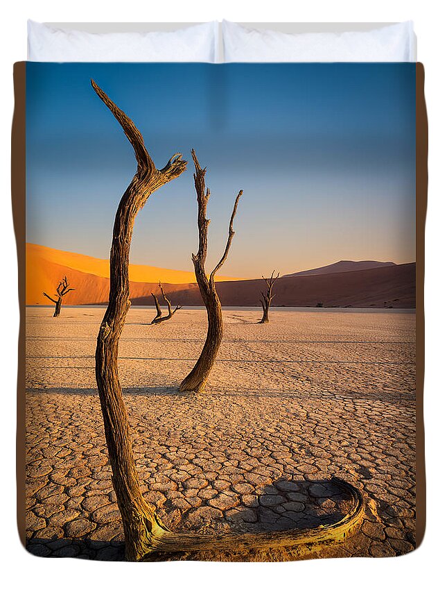 Camel Thorn Trees Duvet Cover featuring the photograph Five Graces by Peter Boehringer