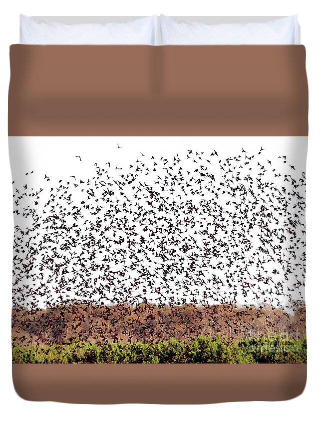 Red-winged Duvet Cover featuring the photograph Five Hundred Blackbirds by Scott Cameron