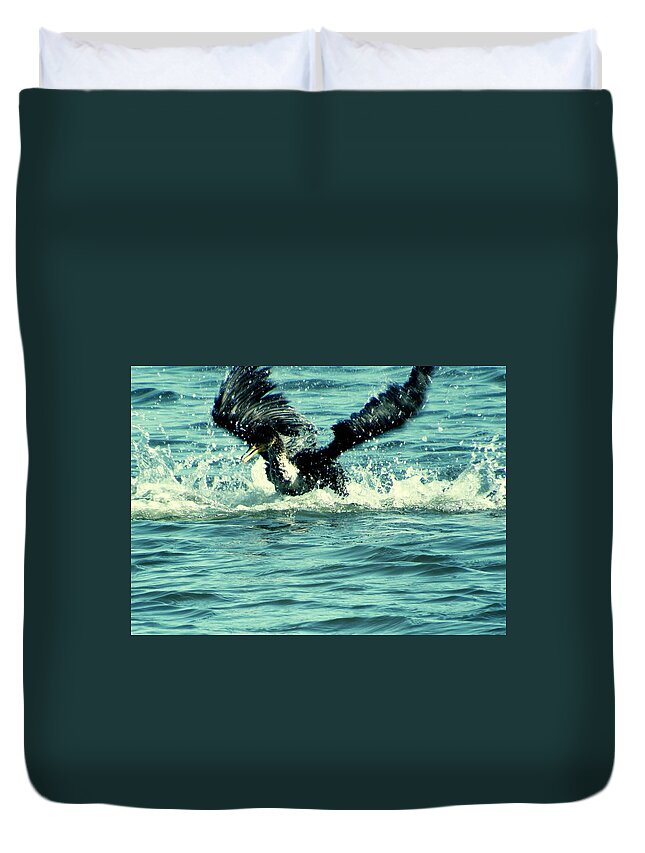 #loon #earlymorning #gulfcoastbay #florida #flying #bathing #seatime Duvet Cover featuring the photograph Flapping Loony Fun Time by Belinda Lee