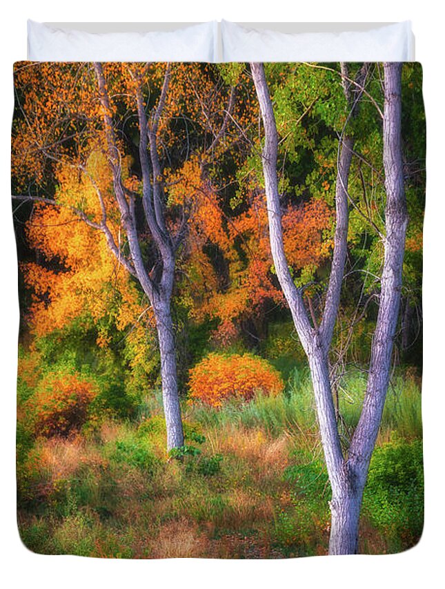 Fall Duvet Cover featuring the photograph Flavors of the Forest by Darren White