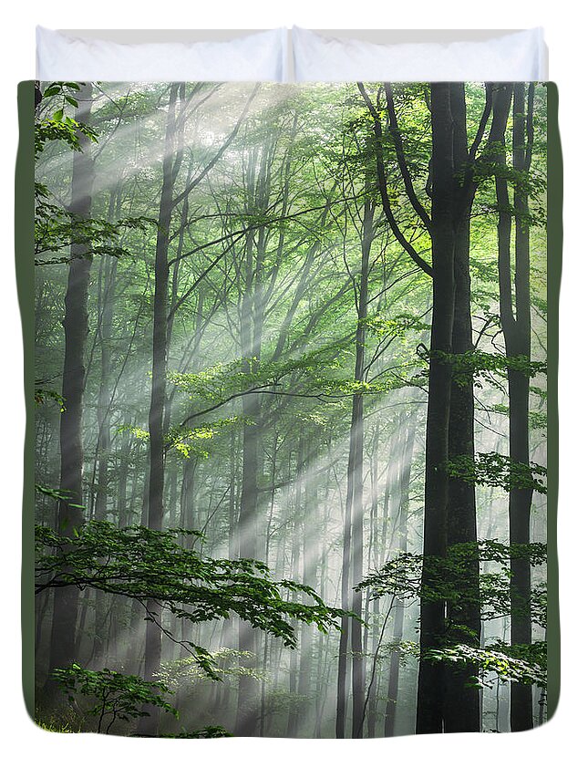 Fog Duvet Cover featuring the photograph Fleeting Beams by Evgeni Dinev