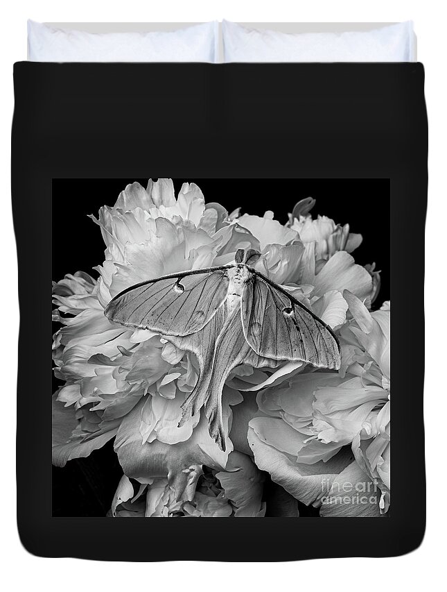 Moth Duvet Cover featuring the photograph Flight of the Luna Moth by Edward Fielding