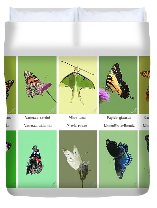 Wildlife Duvet Cover featuring the mixed media Flights of Fancy by Judy Cuddehe