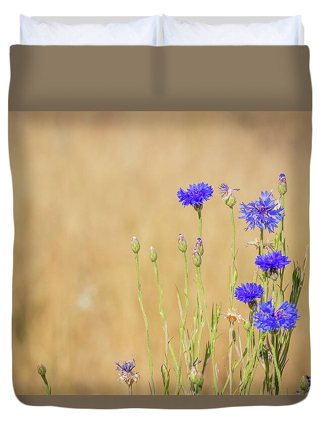 Flowers Blue Flowers Blossoms Bouquet Bachelor Buttons Wildflowers Nature Floral Bunch Of Flowers Plants Fragrance Blooms Flowering Blossoming Flourishes Duvet Cover featuring the photograph Florescence by Laura Putman
