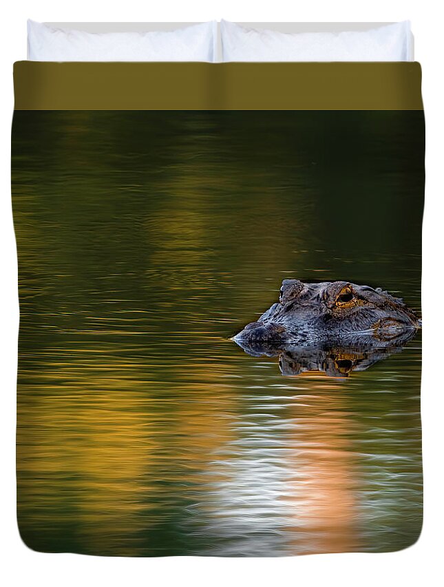 Aligator Duvet Cover featuring the photograph Florida Gator 4 by Larry Marshall