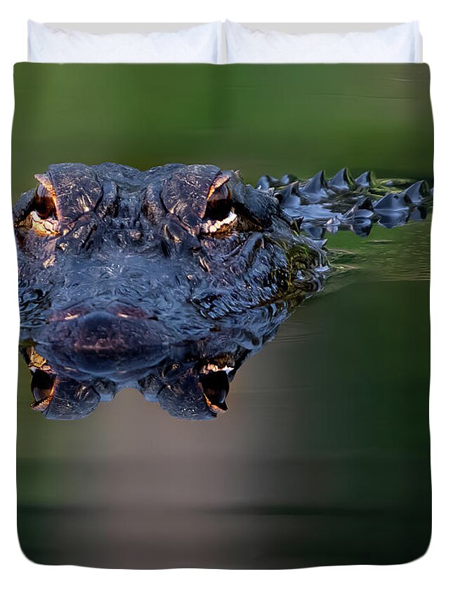 Aligator Duvet Cover featuring the photograph Florida Gator 5 by Larry Marshall