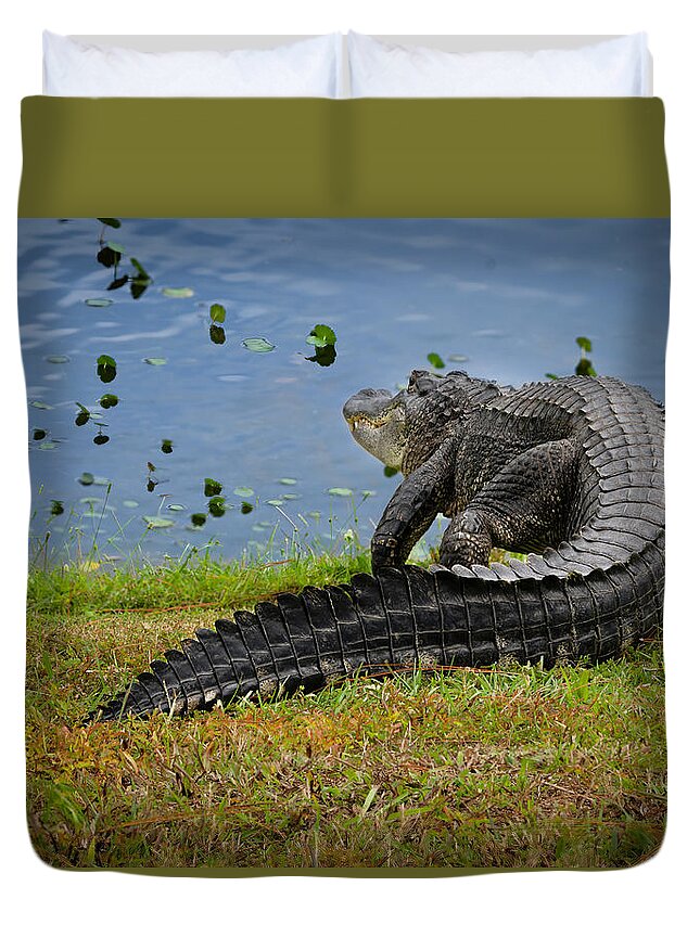 Aligator Duvet Cover featuring the photograph Florida Gator by Larry Marshall