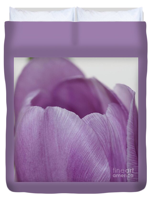 Flower Duvet Cover featuring the photograph Flower Tulip Macro Lavender No. 4453 by Sherry Hallemeier