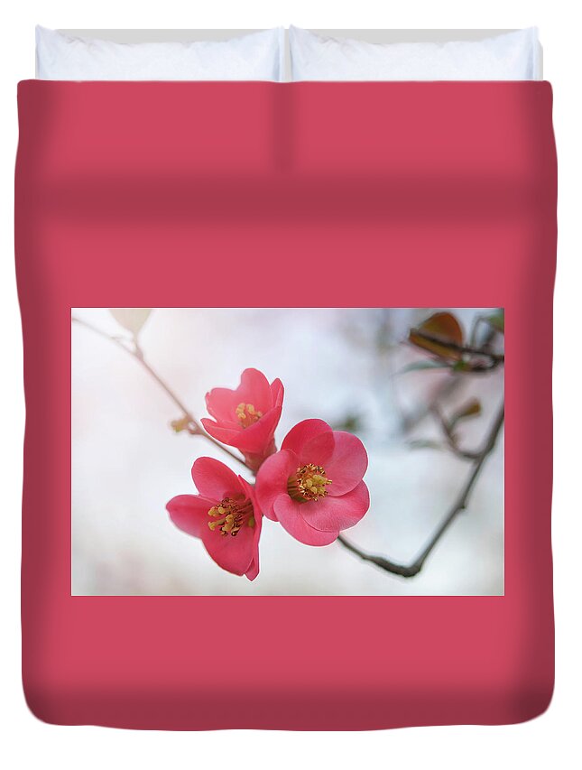Jenny Rainbow Fine Art Photography Duvet Cover featuring the photograph Flowering Quince 1 by Jenny Rainbow