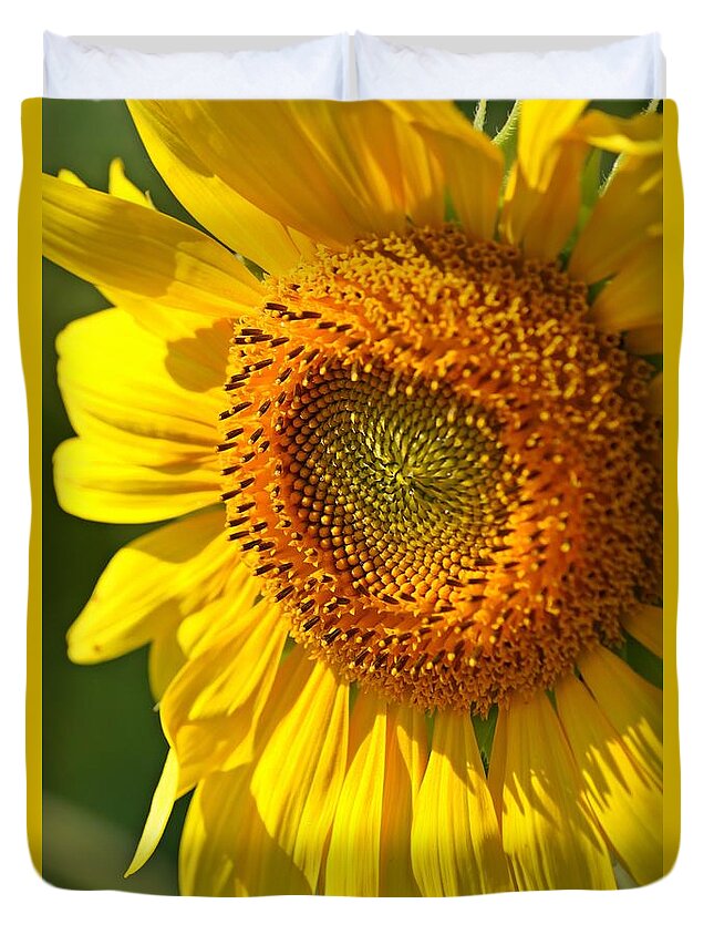 Sunflower Duvet Cover featuring the photograph Sunflower Close Up by Claudia Zahnd-Prezioso