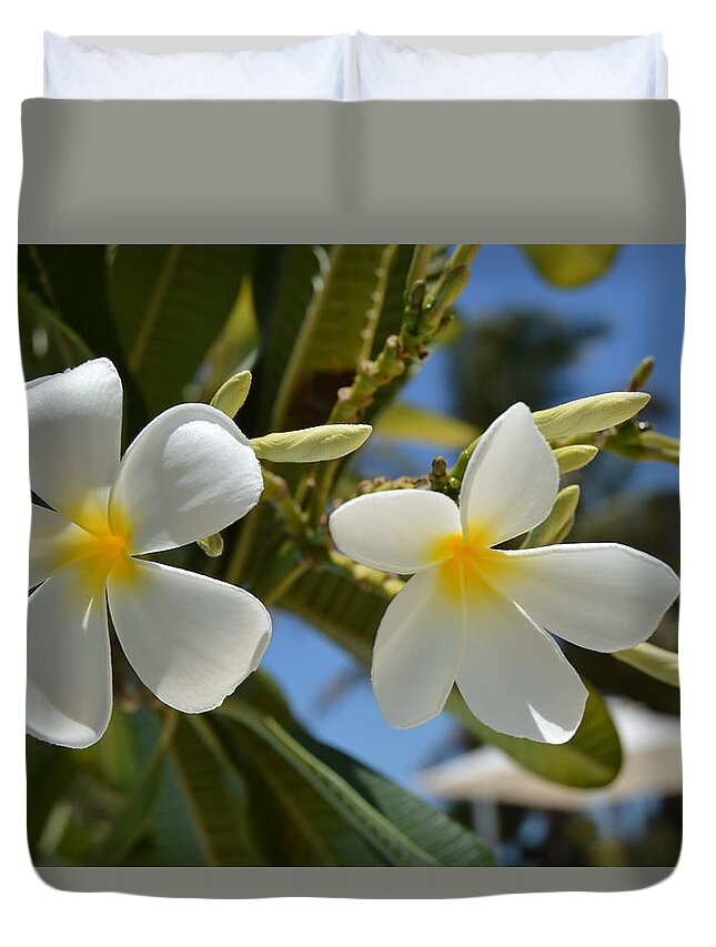 Indian Ocean Duvet Cover featuring the photograph Flowers in Paradise by Thomas Schroeder