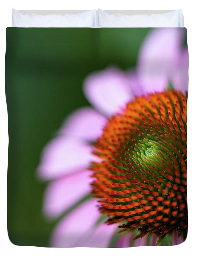 Central Park Duvet Cover featuring the photograph Flowers of NYC - Purple Coneflower by Marlo Horne