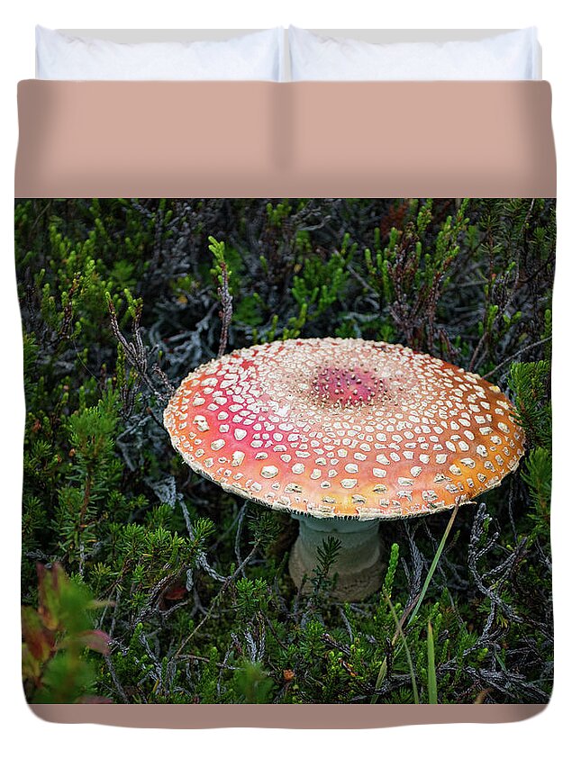 Mushroom Duvet Cover featuring the photograph Fly Agaric by Joan Septembre