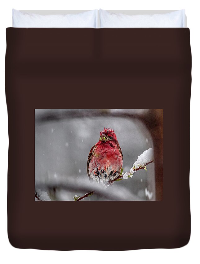Nature Duvet Cover featuring the photograph Fly South by Paul Freidlund