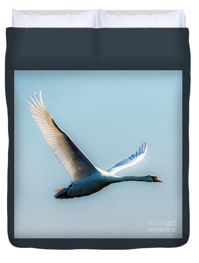 Bird Duvet Cover featuring the photograph Flying swan by Casper Cammeraat