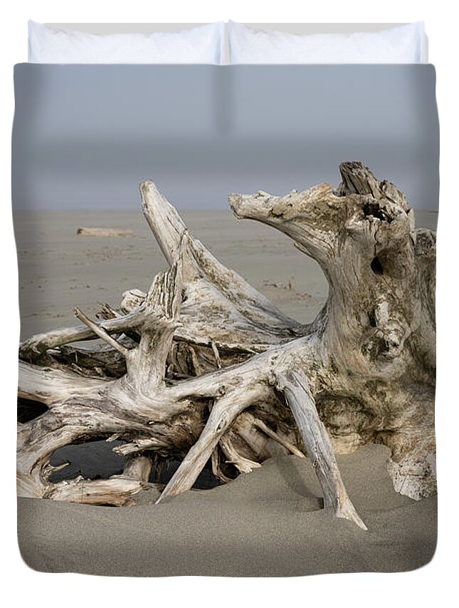 Beach Combing Duvet Cover featuring the photograph Fog and Driftwood by Robert Potts