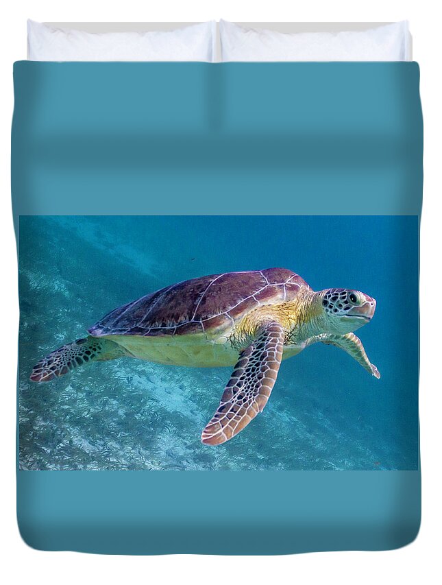 Animals Duvet Cover featuring the photograph Follow Me by Lynne Browne