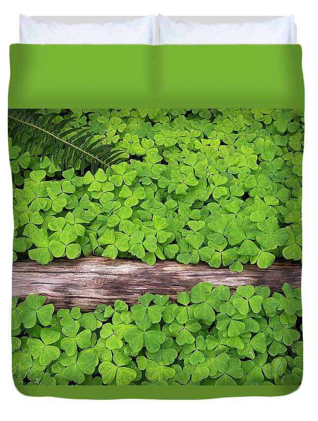Forest Clover Oregon Spring Groundcover Fern Green Duvet Cover featuring the photograph Forest Carpet by Andrew Kumler
