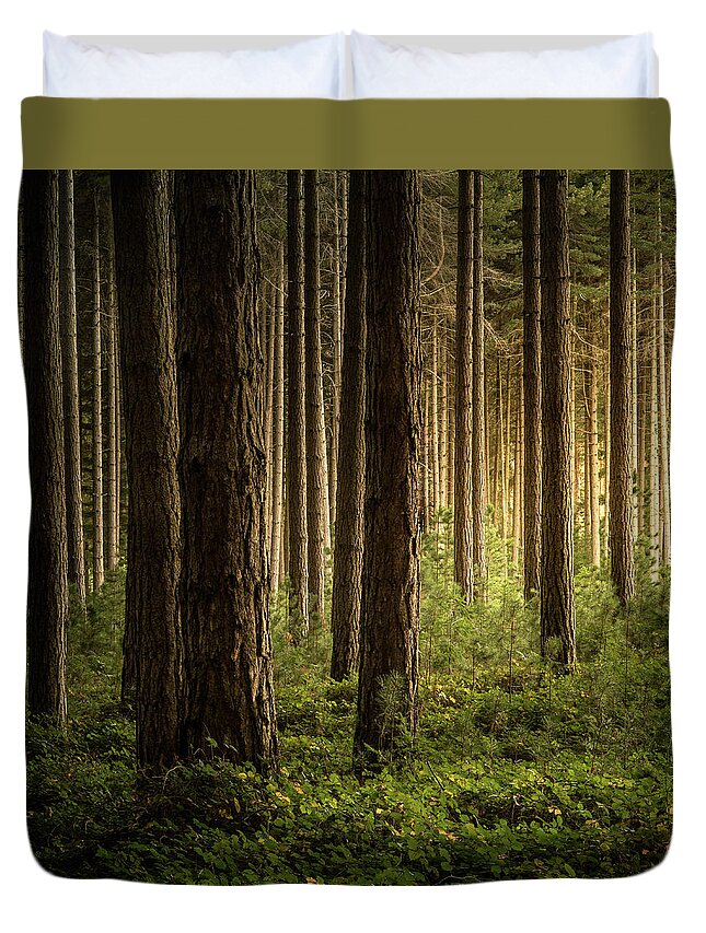 Landscape Duvet Cover featuring the photograph Forest Light by Grant Galbraith