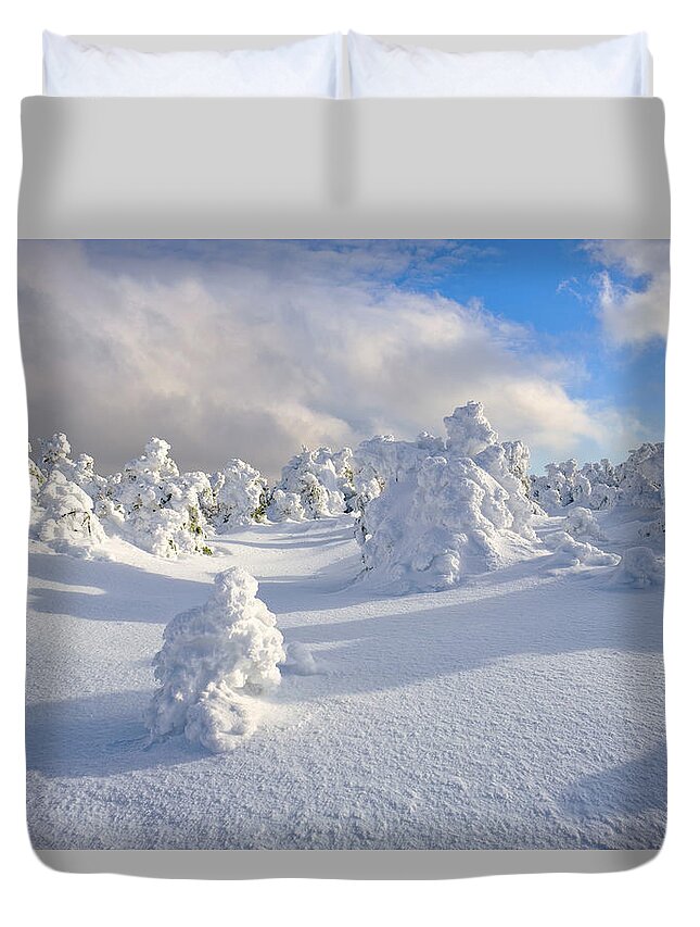 New Hampshire Duvet Cover featuring the photograph Rime and Shadow. by Jeff Sinon