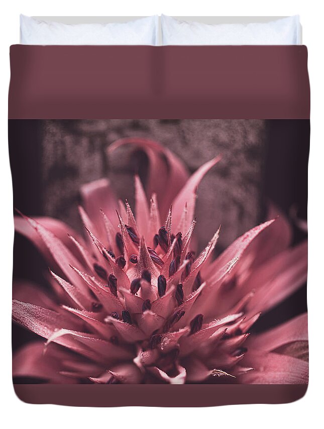Mountain Duvet Cover featuring the photograph Forgiveness Flower by Go and Flow Photos
