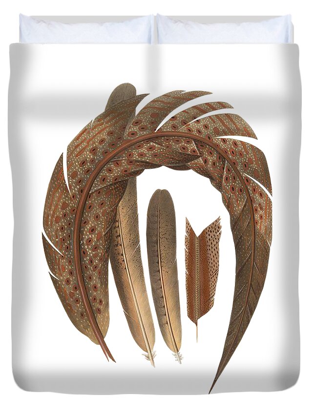 Pheasant Duvet Cover featuring the digital art Four Feathers by Madame Memento